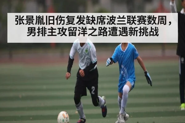 张景胤旧伤复发缺席波兰联赛数周，男排主攻留洋之路遭遇新挑战（kaiyun）